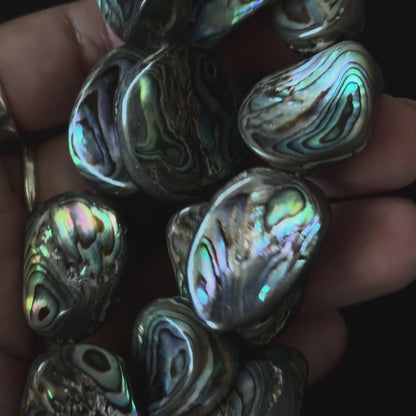 Abalone Irregular Rectangle Shape Approx 15x20mm