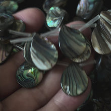 Natural Abalone Teardrop Shape Beads 15x20mm