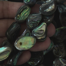 Abalone Irregular Rectangle Shape Approx 15x20mm