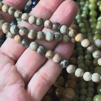 Natural Fossil Coral Smooth Round Beads 6mm