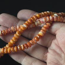 Natural Spiny Oyster Smooth Rondelle Beads 4x6mm